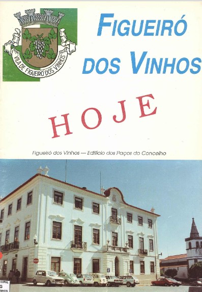 Figueiró dos Vinhos, Hoje